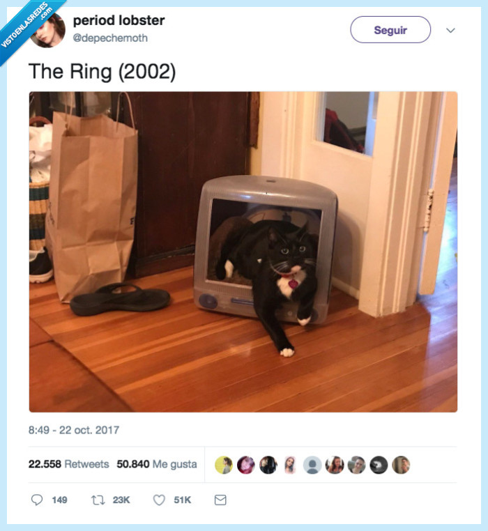the ring,gato,version