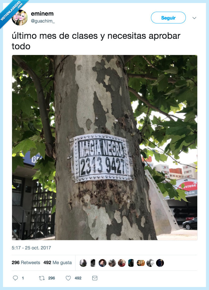 mes,clases,aprobar,todo