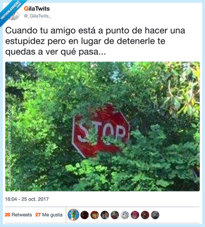 amigo,cagar,expectante