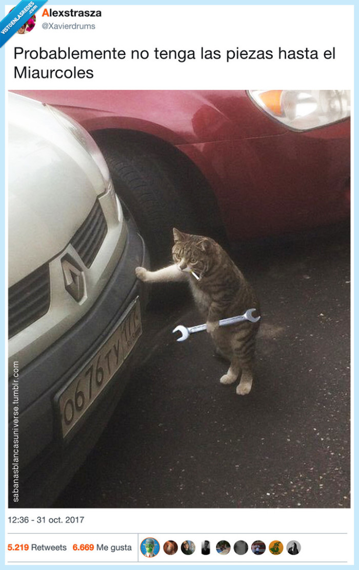 gato,mecánico,miaurcoles