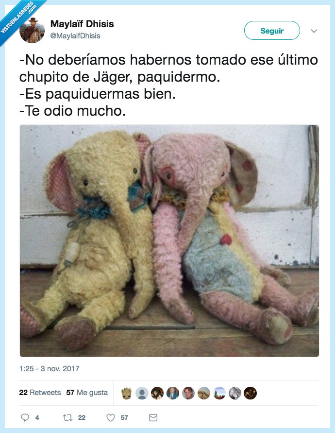 paquidermo,ciste,malo,lo siento