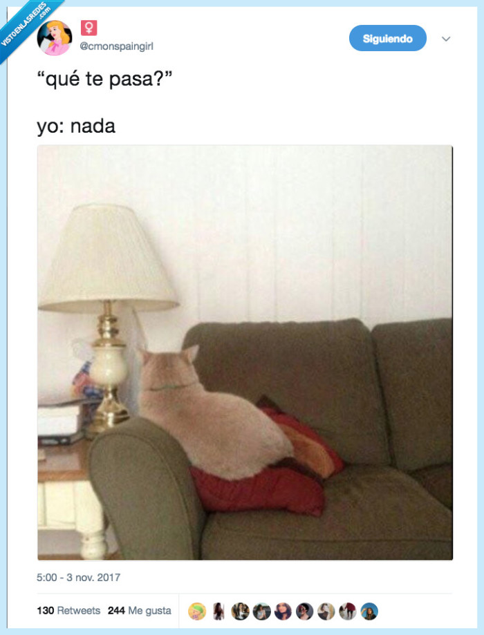 nada,gato,pasar