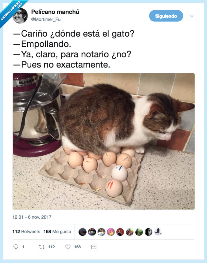 gato,gallina,complejo