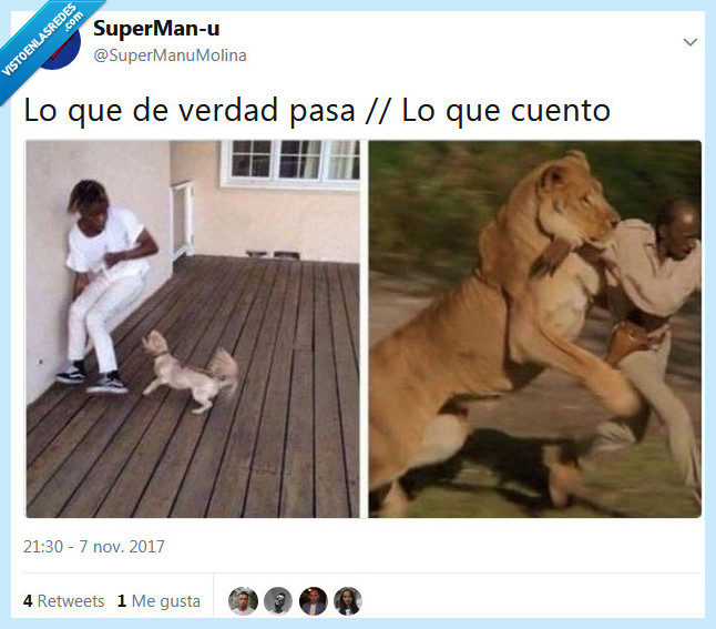 pasar,contar,verdad,mentira