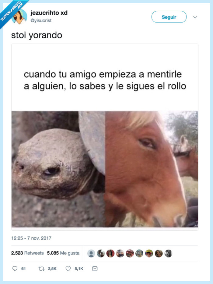 caballo,tortuga,amigo,mentir