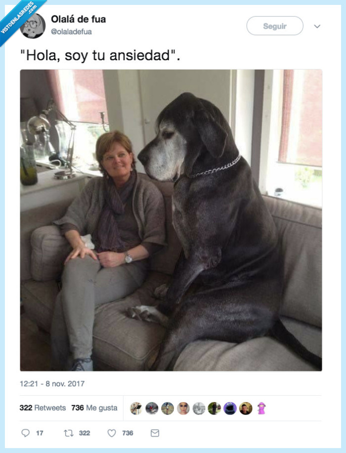 anisedad,perro