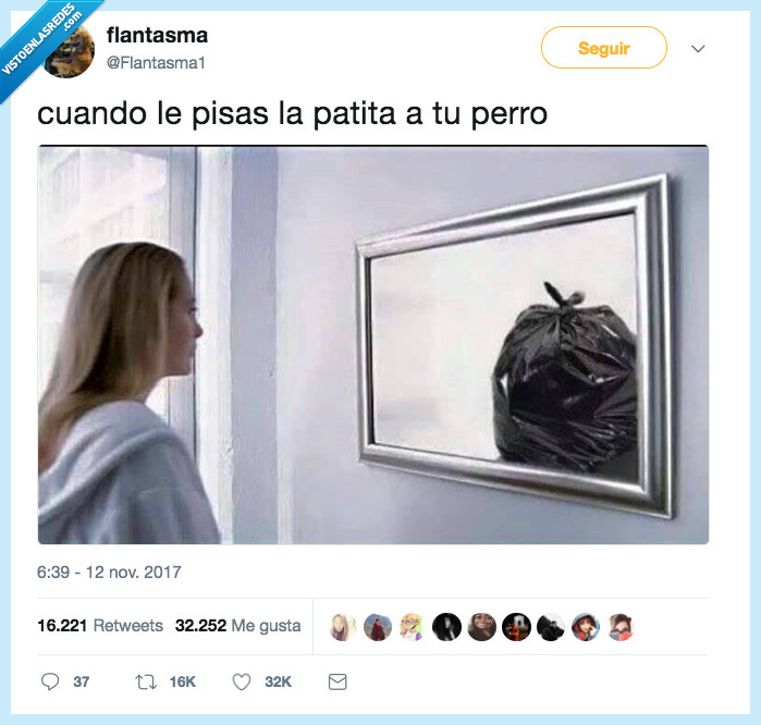 basura,pisar,perro