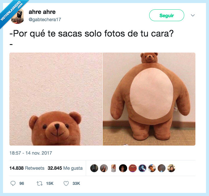 oso,foto,cara