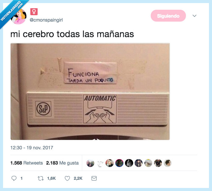 cerebro,mañana,lento