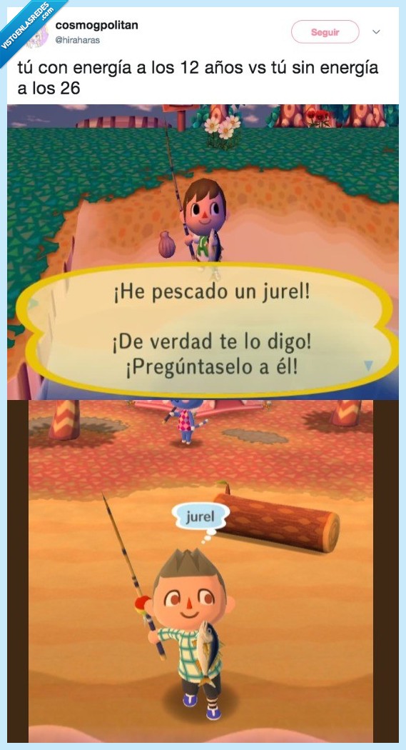 energía,26,12,jurel animal crossing