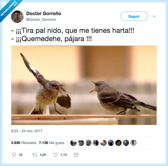 mujer,págara,pelear