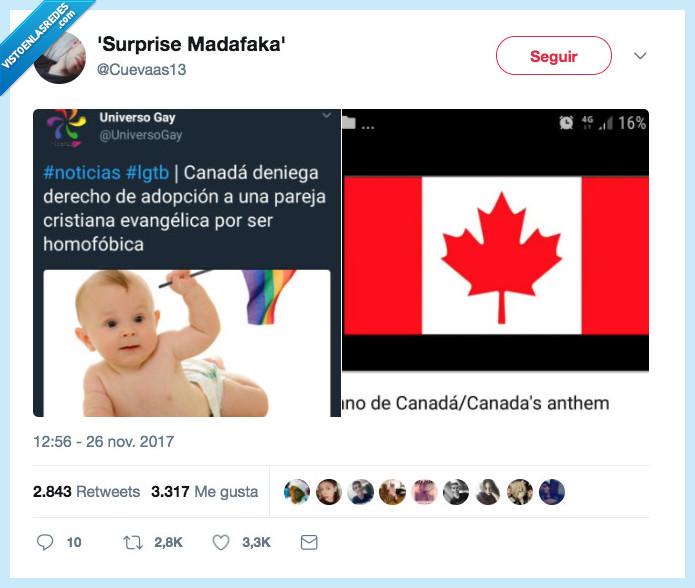 canadá,bravo,adopción