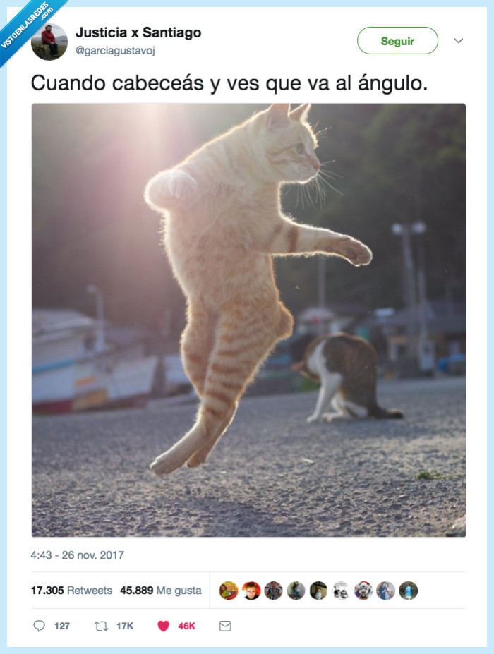 gato,pichichi,rematar