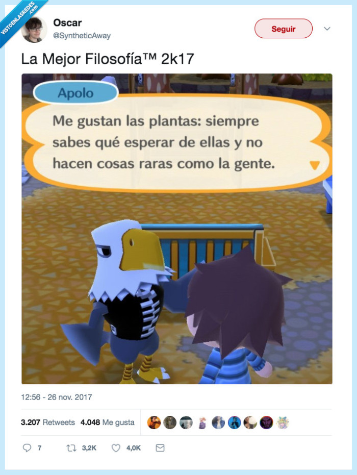 plantas,raras,cosas,filosofía