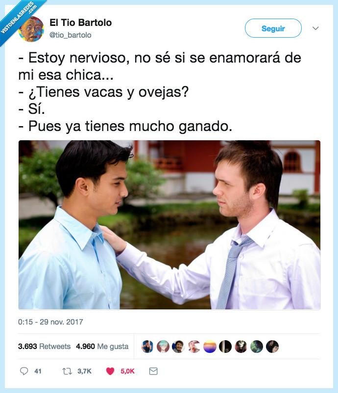 chistaco,enamorar,vacas,ovejas,ganado