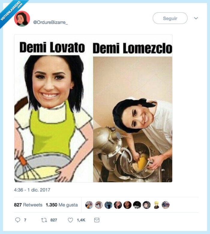demi,lovato,gato