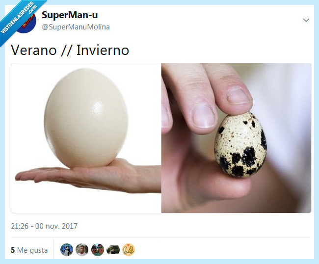 invierno,verano,huevos,hombres