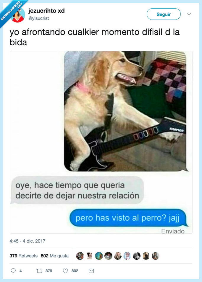vida,perro,decisiones