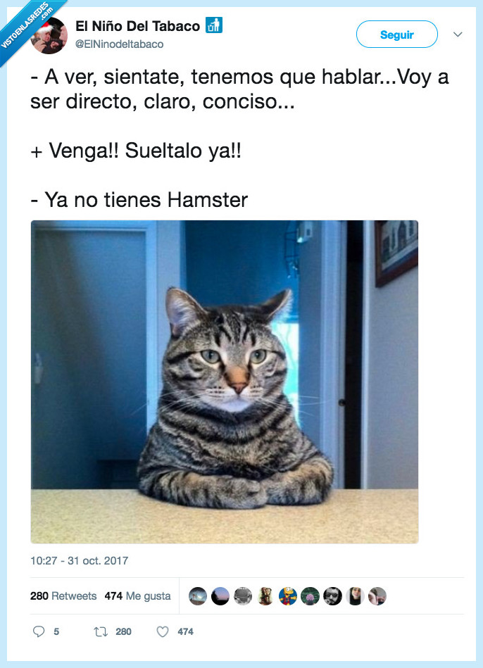 gato,sentar,hablar