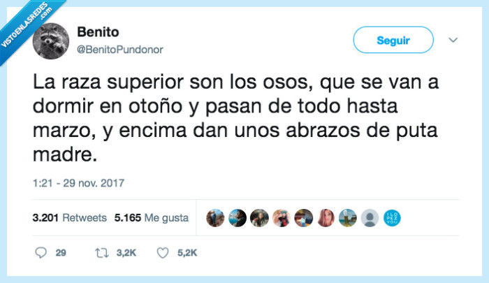 raza,superior,oso