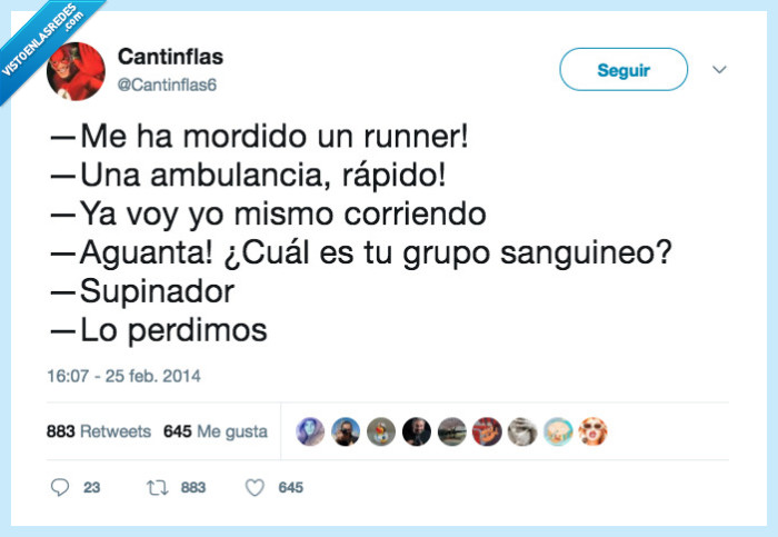 runner,perde