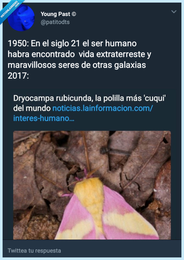 Tweet,gracioso,salu2