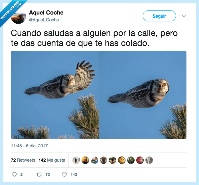 saludar,coches,aguila