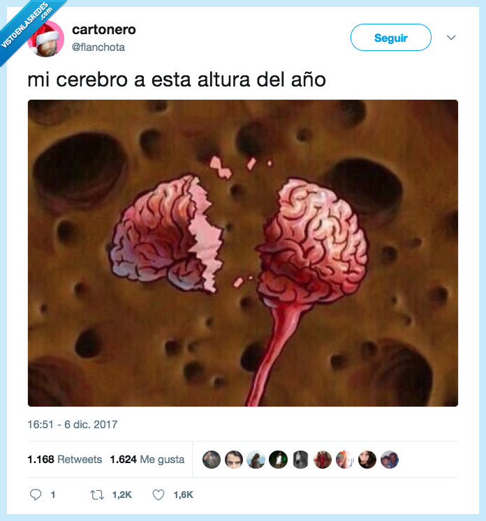 cerebro,pensar,tonterias,altura