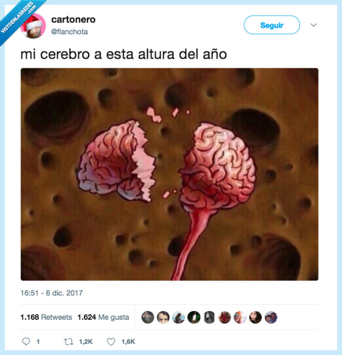cerenro,altura