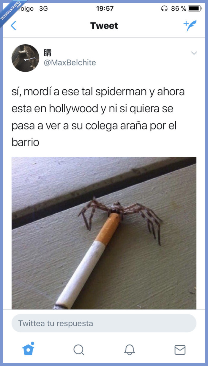 #spiderman #peter #parquer #araña #hollywood