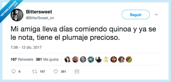 quinoa,p&aacute;jaro,convertir