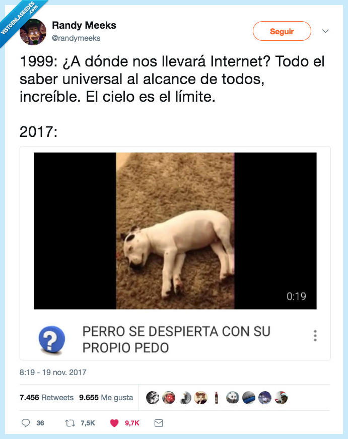 perro,despertar,sentido internet