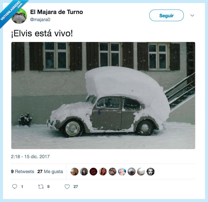 elvis,frío,vio