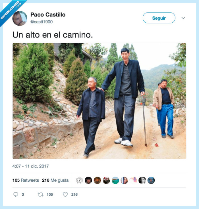 alto,camino,chino