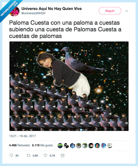 paloma cuesta,anhqv