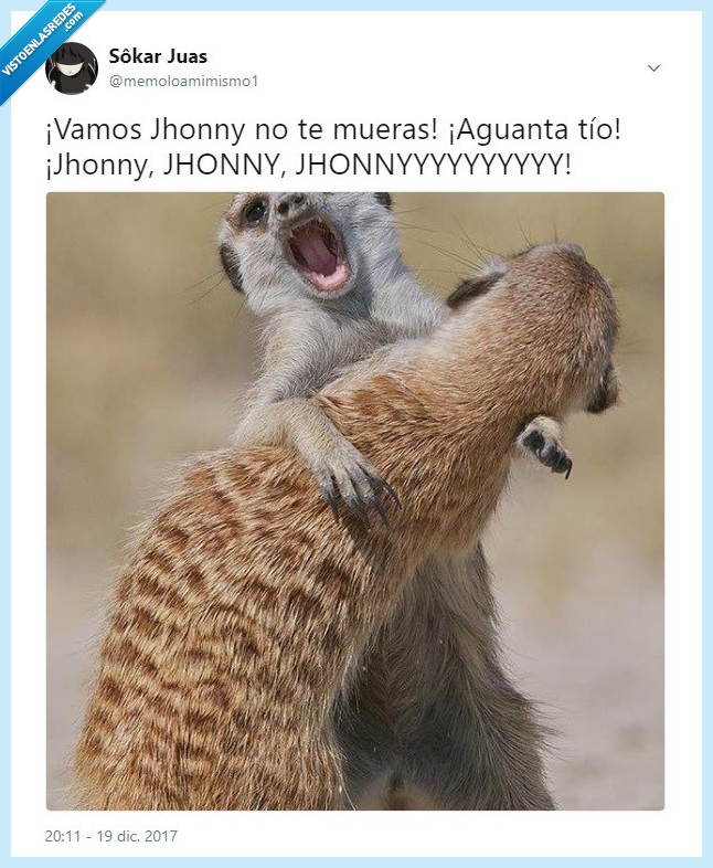 comadrejas,muerte de pelicula,Jhonny