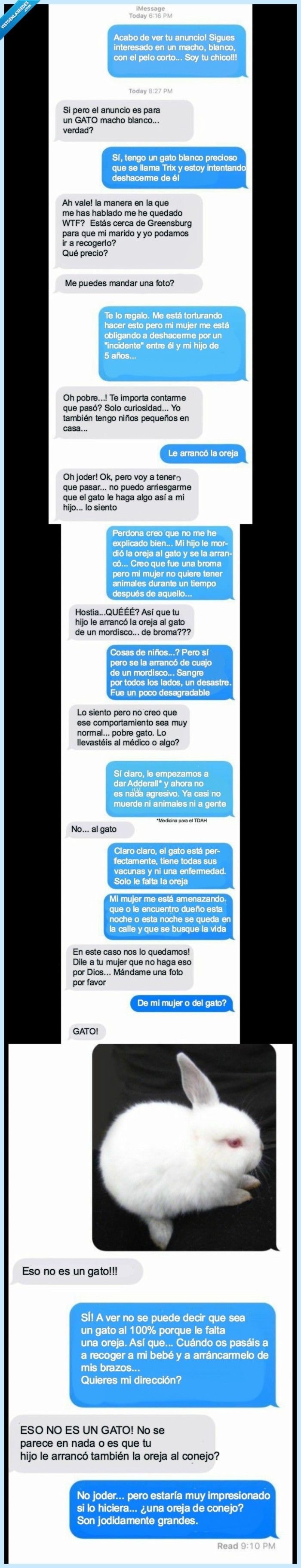 padre,troll,colar,conejo,familia