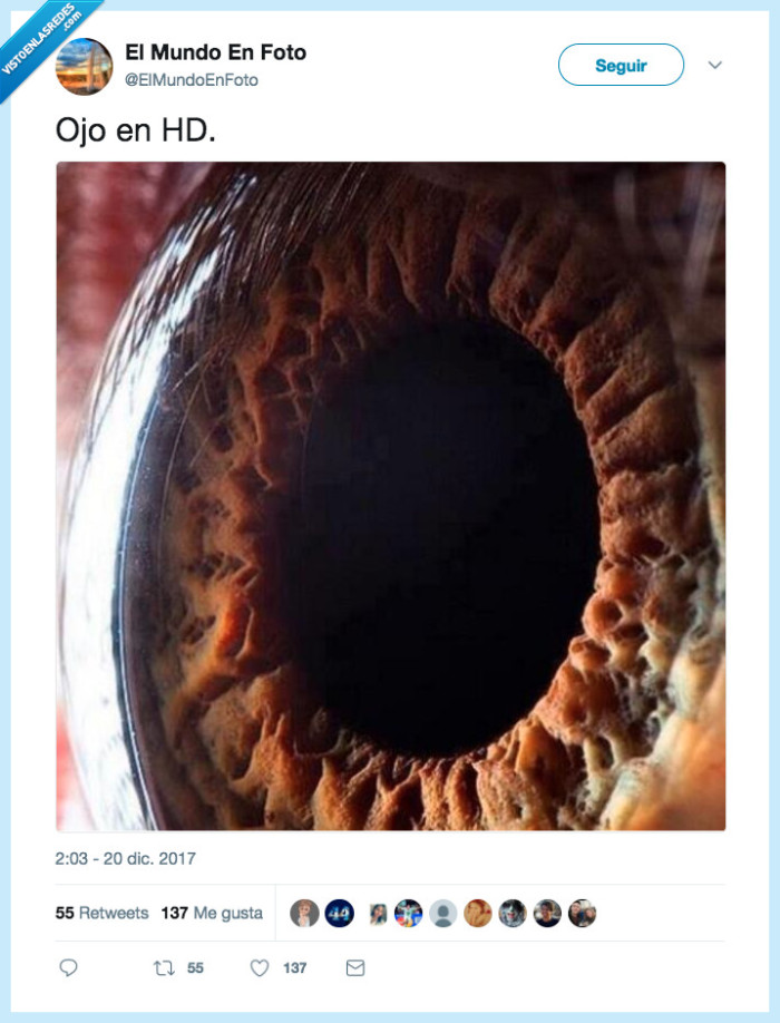 ojo,hd,flipar