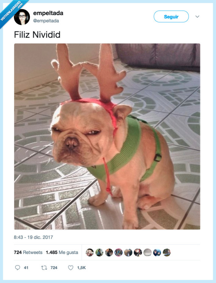 perro,feliz navidad,serán
