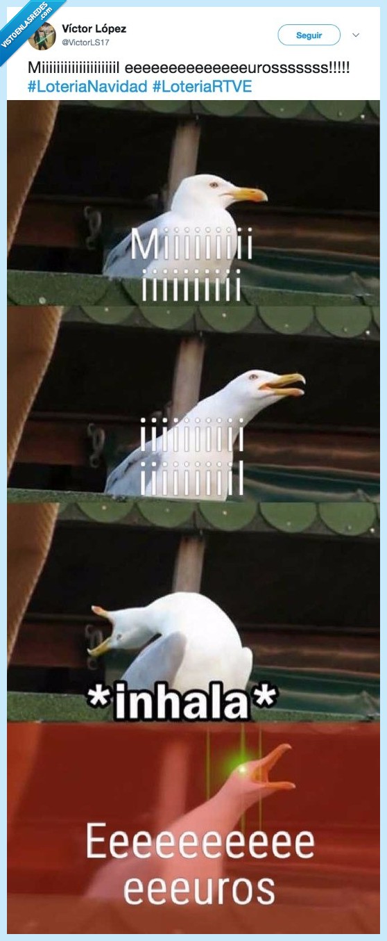 gaviota,cantar,premios