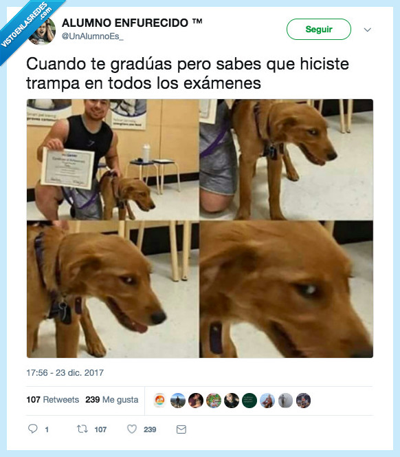 perro,nota,examen