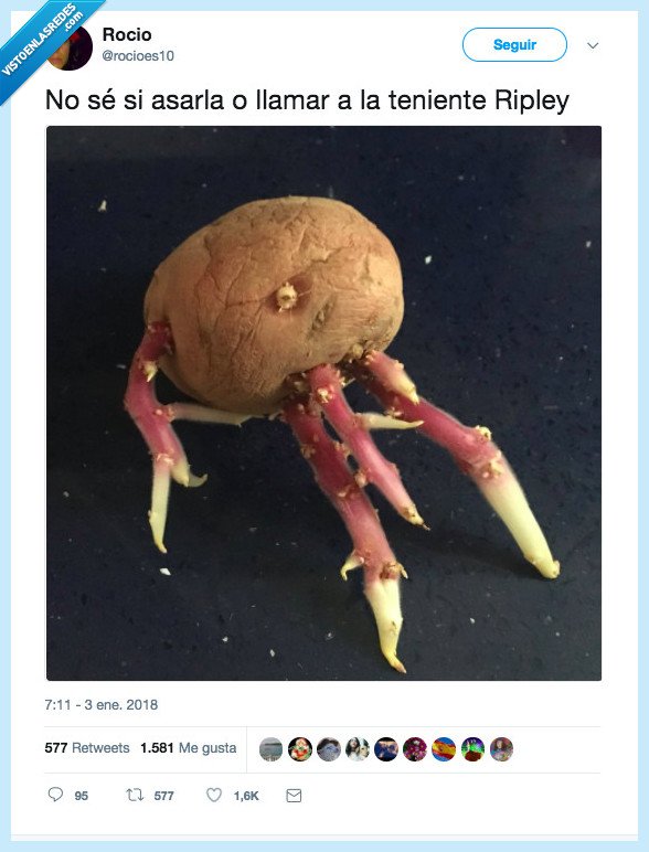 480457 - ALIEN: La resurrección del tubérculo, por @rocioes10