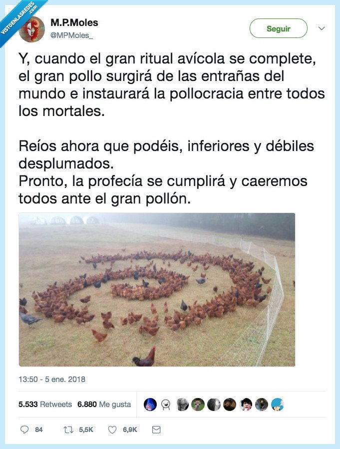 pollos,ritual satanico