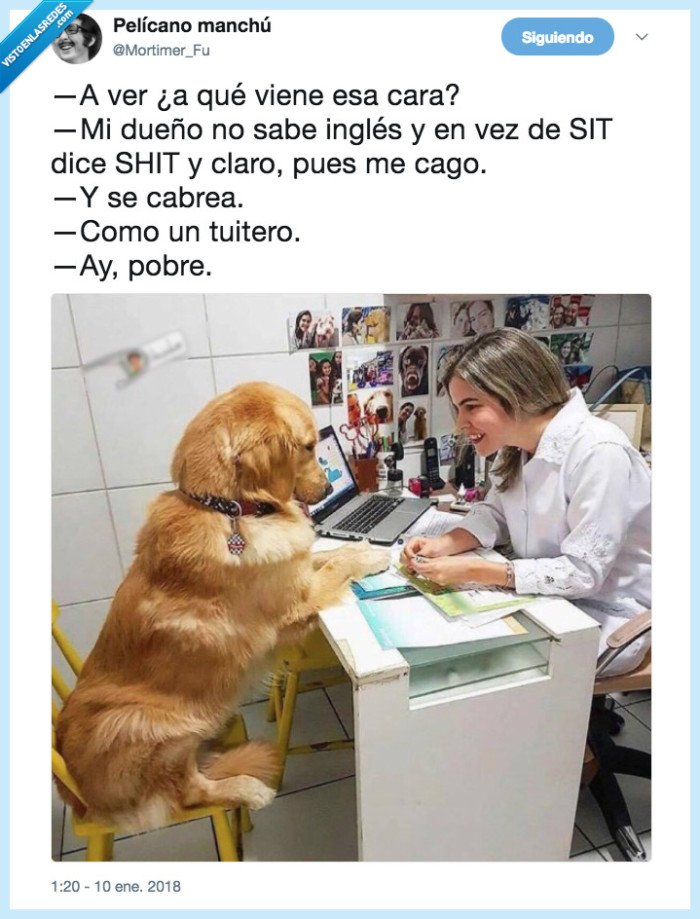perro,tuitero,cabreo