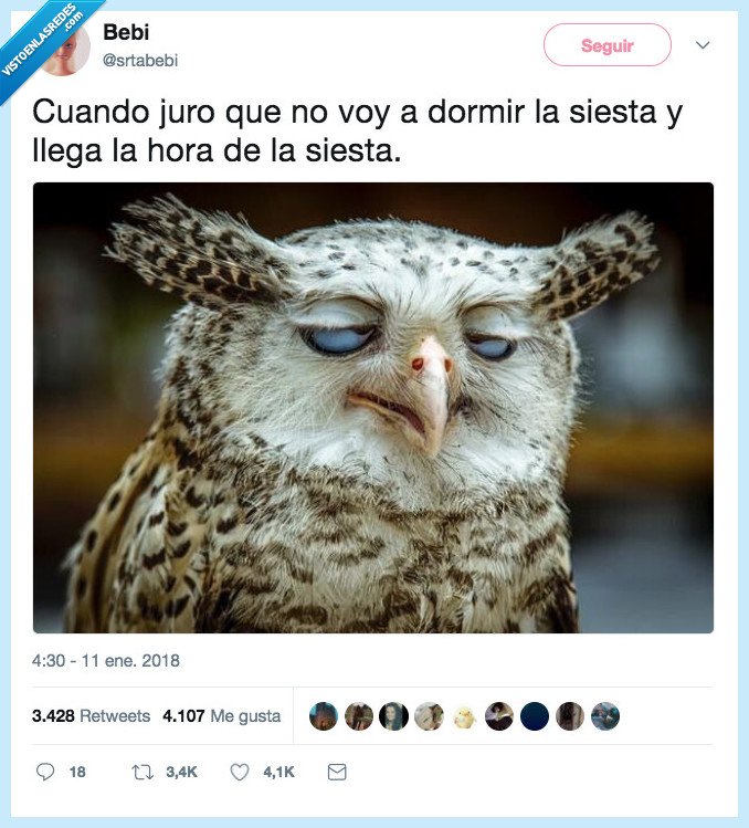 dormir,estudiar