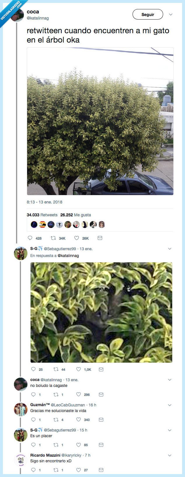 gato,encontrar,no hay manera