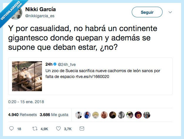 africa,continente,leon