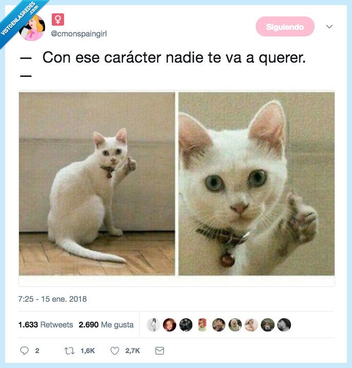 gato,carácter,querer