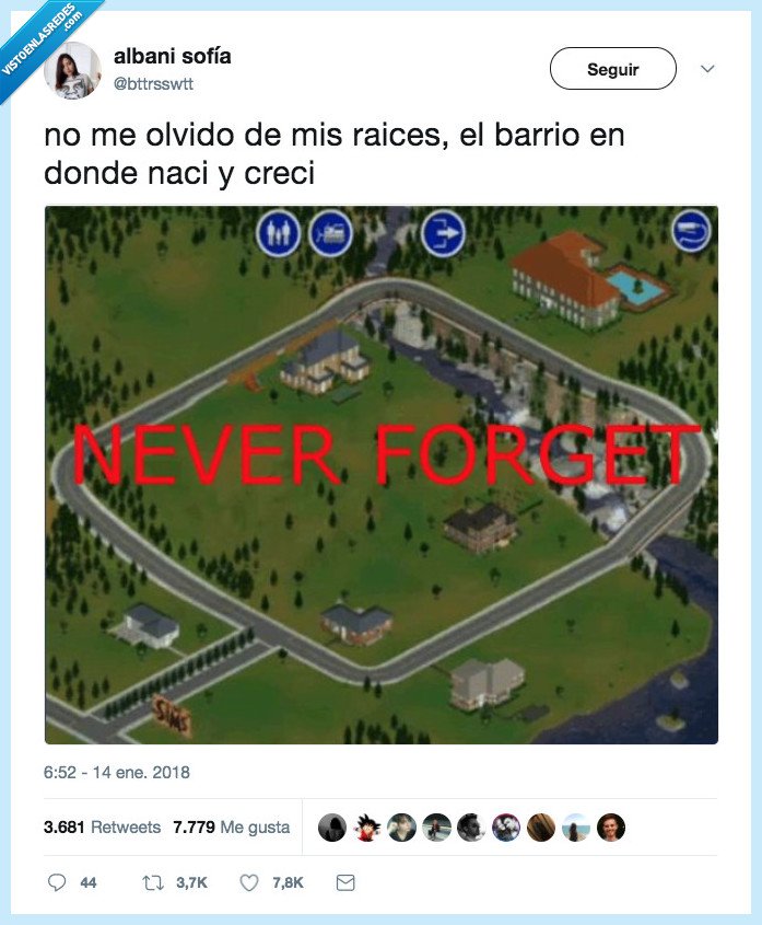raíces,barrio,sims