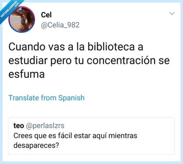 Concentración,estudiar,biblioteca,vuelve,no,te,marches